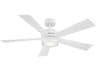 Wynd 52 Inch LED Smart Ceiling Fan