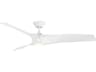 Zephyr 62 Inch Smart Outdoor Ceiling Fan with LED Light
