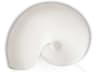Nautilus 1-Light White Wall Sconce