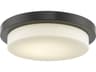 Lighting Step LED Flush Mount Bronze Modern Fixture