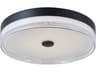 Iris LED Flush Mount Light in Matte Black