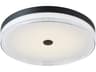 Iris 20-Inch LED Flush Mount Ceiling Light in Matte Black