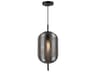 Vita Pendant Light with Oversized Glass Shade