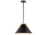 Baltic Collection Pendant Light Black and Brushed Brass