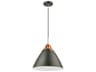 Tote Pendant Light in Matte Black