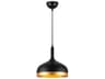 Dash Pendant Light in Black and Gold