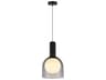 Juna 1-Light Black Dome Globe Mini Pendant