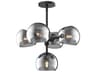 Willow 5 Light Chandelier in Matte Black and Smoked Glass