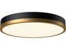 Adelaide LED Flush Mount Light Fixture In Aged Gold And Matte Black