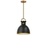 Waldo Pendant Light in Aged Gold and Matte Black