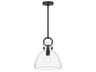Waldo Pendant Light in Matte Black and Clear Glass