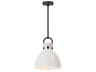 Waldo Pendant Light Matte Black and Glossy Opal