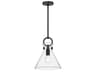 Emerson Pendant Light in Matte Black and Clear Glass