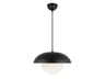 Rubio Pendant Light in Matte Black
