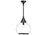 Hazel Pendant Light in Matte Black with Clear Glass