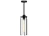 Belmont Pendant Light in Matte Black and Clear Water Glass