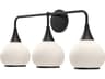 Hazel 3-Light Vanity Light in Matte Black