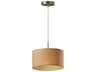 Harvest Pendant Light Natural Woven Paper