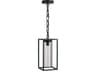 Box 1-Light Outdoor Hanging Light