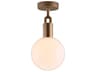 Forked 1-Light Brass Globe Semi Flush Mount