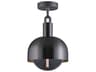 Forked 1-Light Gun Metal Gunmetal Semi Flush Mount