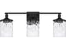 Colton 3-Light Matte Black Glass Vanity Light