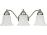 3-Light Matte Nickel Glass Vanity Light