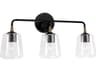 Amara 3-Light Matte Black With Brass Glass Vanity Light
