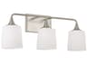 Presley 3-Light Brushed Nickel Glass Vanity Light