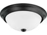 2-Light Matte Black Glass Bowl Flush Mount