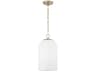 Cleo 1-Light Matte Brass Cylinder Mini Pendant