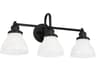 Baxter 3-Light Matte Black Glass Vanity Light