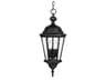 Carriage House 3 - Light Outdoor Hanging Light