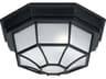 Outdoor 2 - Light Ceiling Light