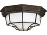 Outdoor 2 - Light Ceiling Light