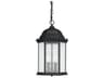 Main Street 3 - Light Outdoor Hanging Light