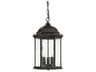 Main Street 3 - Light Outdoor Hanging Light