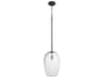 Southport 1-Light Black Mini Pendant