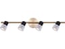 Elsee 4 -light Gold LED Cylinder Track & Rail Light