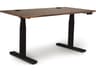 Invigo Solid Wood Dual Motor Standing Desk