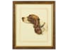 Danchin Cocker Spaniel Wall Art