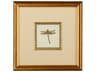 Miniature Dragonfly I