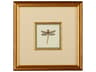 Miniature Dragonfly II