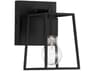 Dunn 1-Light Flat Black Glass Vanity Light