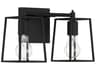 Dunn 2-Light Flat Black Glass Vanity Light