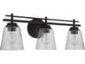 Drake 3-Light Flat Black Glass Vanity Light