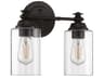 Dardyn 2-Light Flat Black Glass Vanity Light