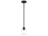 Bolden 1-Light Flat Black Glass Cylinder Mini Pendant