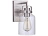 Foxwood 1-Light Brushed Polished Nickel Glass Vanity Light