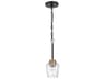 Avante Grand 1-Light Flat Black Satin Brass Clear Glass Mini Pendant